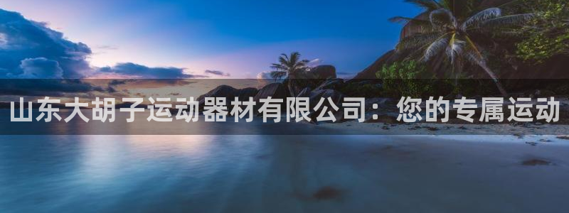 球客岛官网下载:山东大胡子运动器材有限公司:您的专属运动