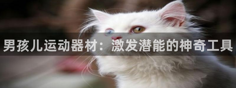 球客岛官网下载平台注册:男孩儿运动器材:激发潜能的神奇工具