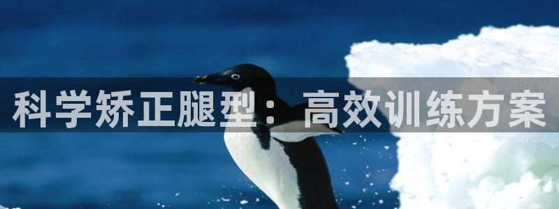 球客岛官网下载招商电话号码查询:科学矫正腿型:高效训练方案