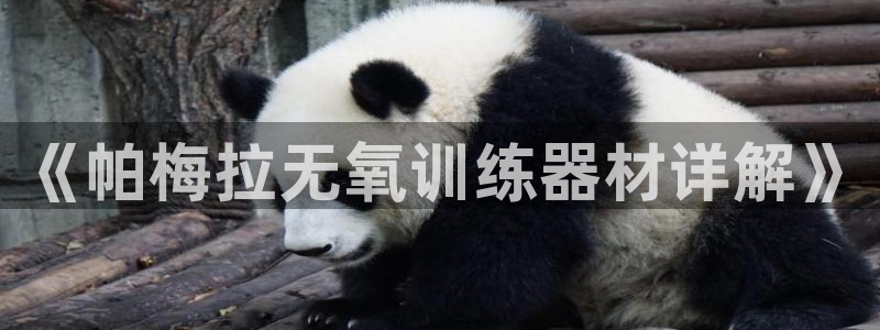 球客岛官网下载软件:《帕梅拉无氧训练器材详解》